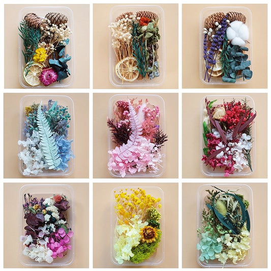 Preserved Flowers for Crafts 丨 Myitabag
