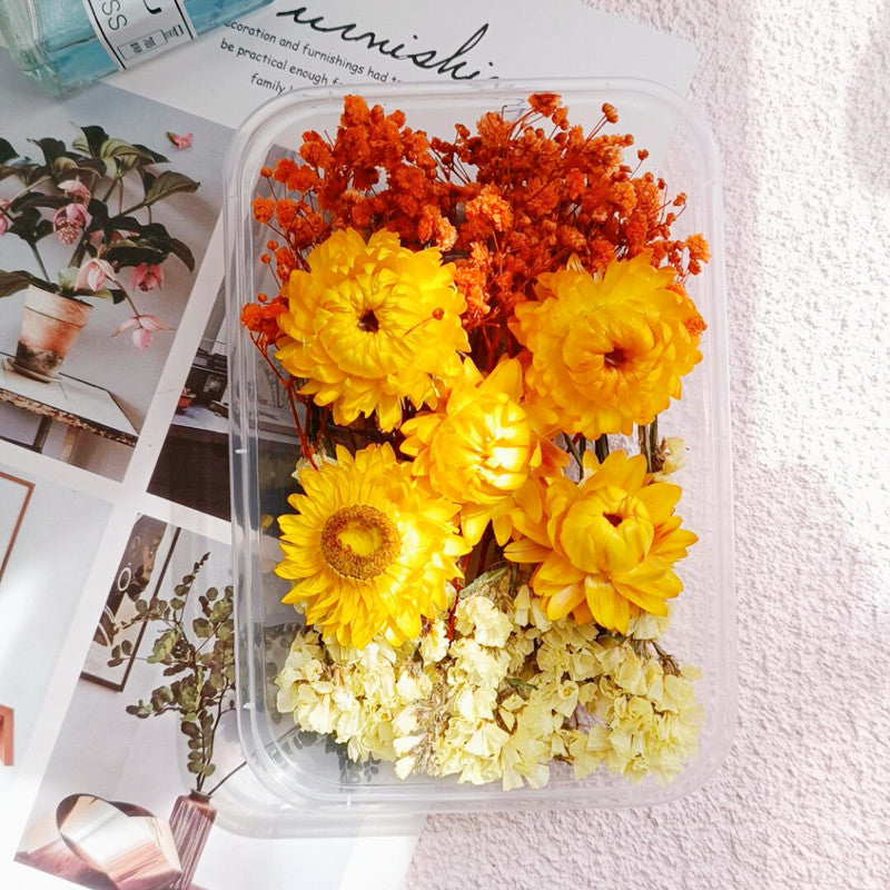 Dried Flower Ita Bag DIY Materials Kit 丨 Myitabag