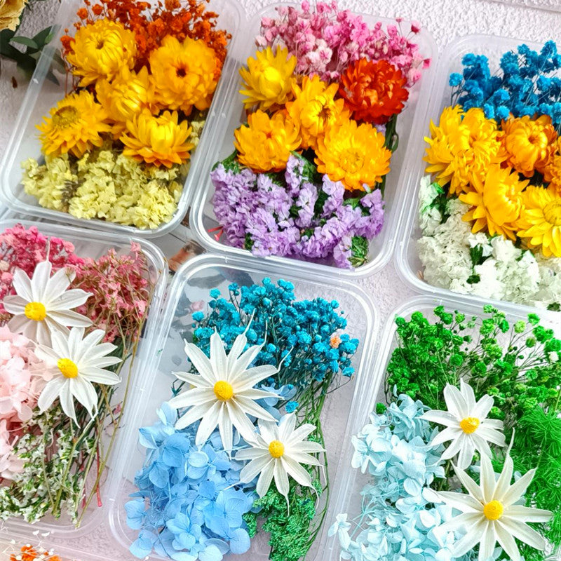 Dried Flower Ita Bag DIY Materials Kit 丨 Myitabag