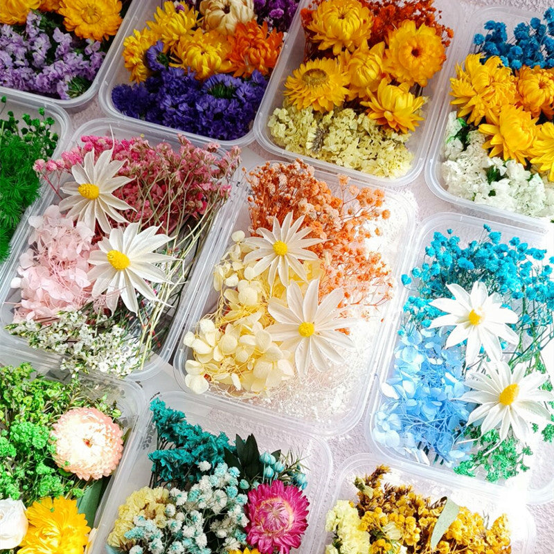 Dried Flower Ita Bag DIY Materials Kit 丨 Myitabag