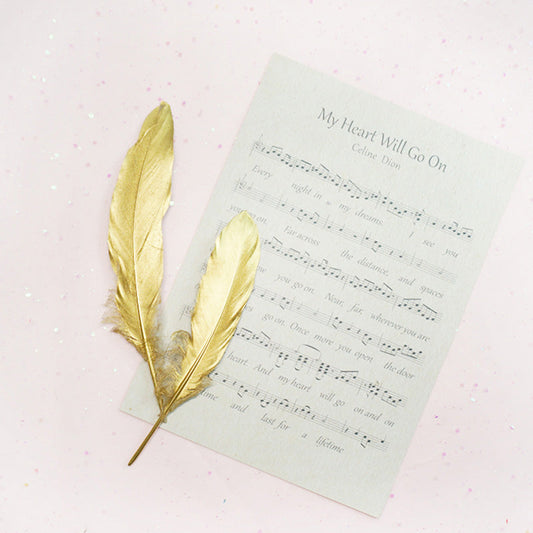 Ita Bag DIY Decoration Feather Accessories 丨 Myitabag