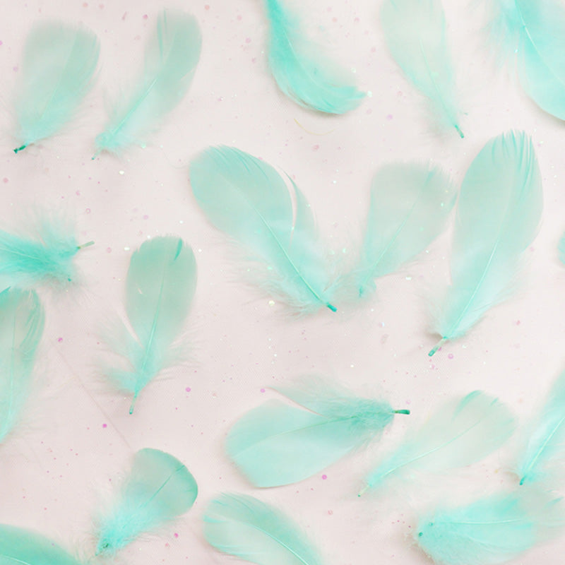 Ita Bag DIY Decoration Feather Accessories 丨 Myitabag