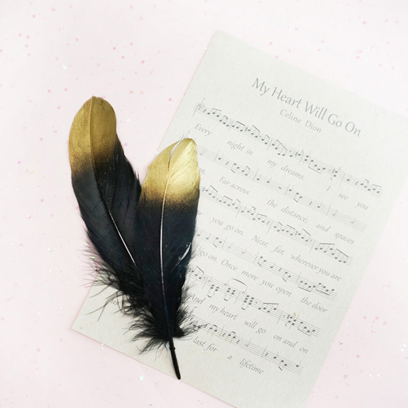 Ita Bag DIY Decoration Feather Accessories 丨 Myitabag