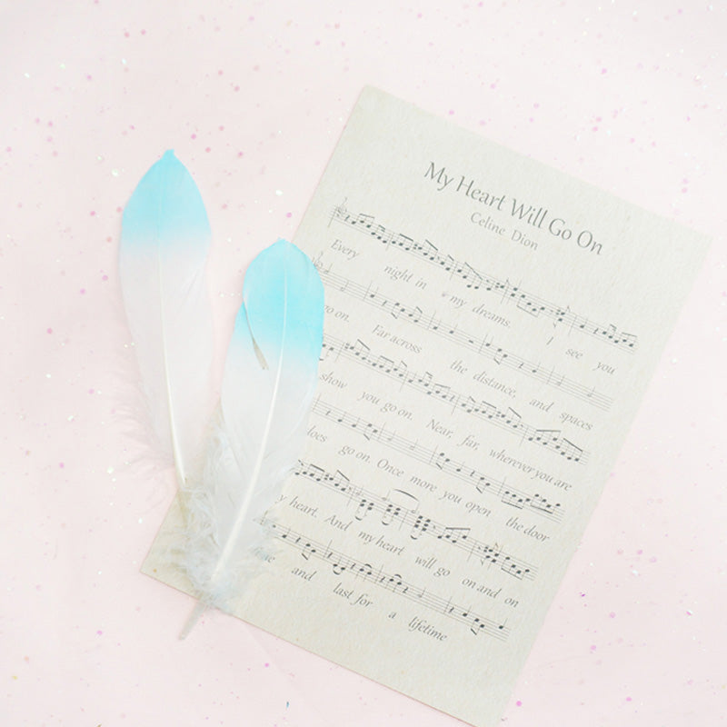 Ita Bag DIY Decoration Feather Accessories 丨 Myitabag