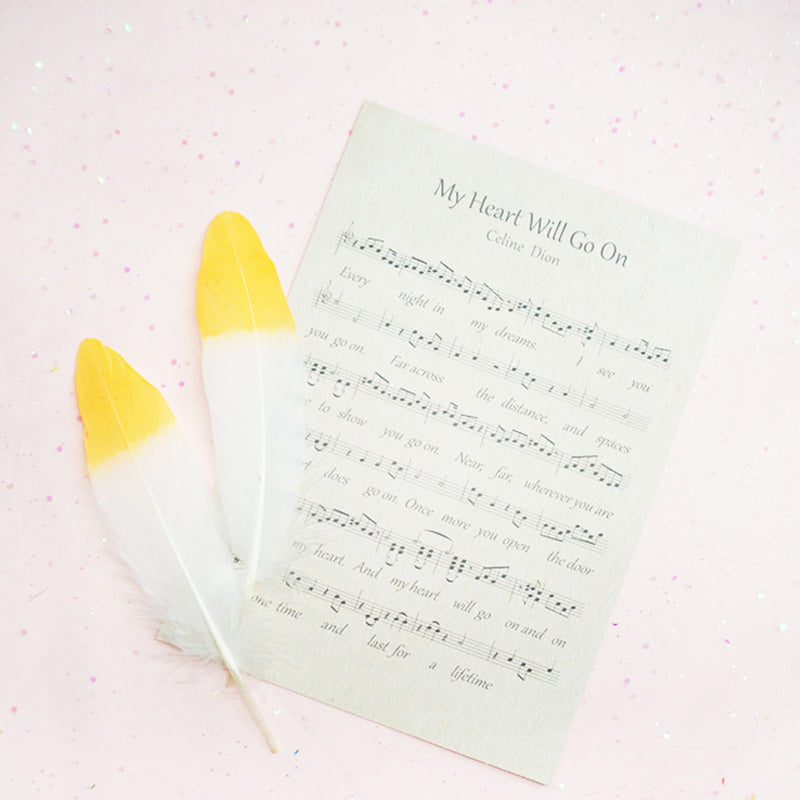 Ita Bag DIY Decoration Feather Accessories 丨 Myitabag