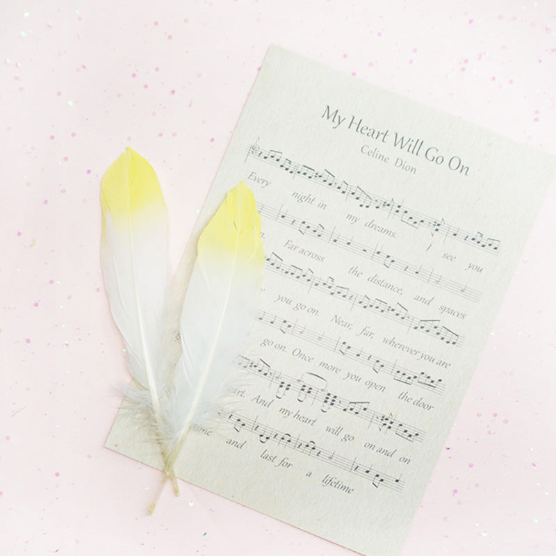 Ita Bag DIY Decoration Feather Accessories 丨 Myitabag