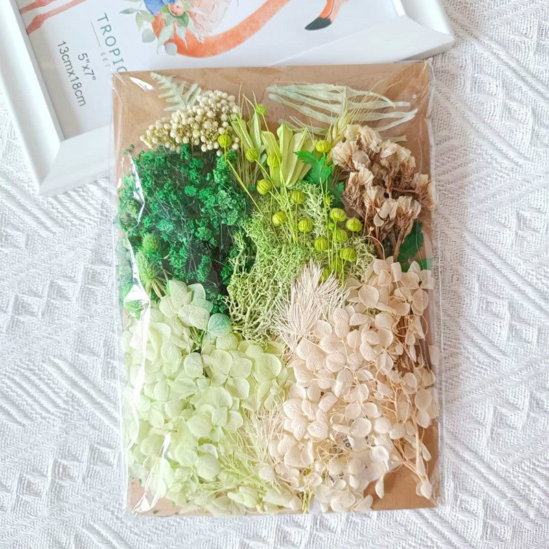 Ita Bag Decoration - Dried Flowers 丨 Myitabag
