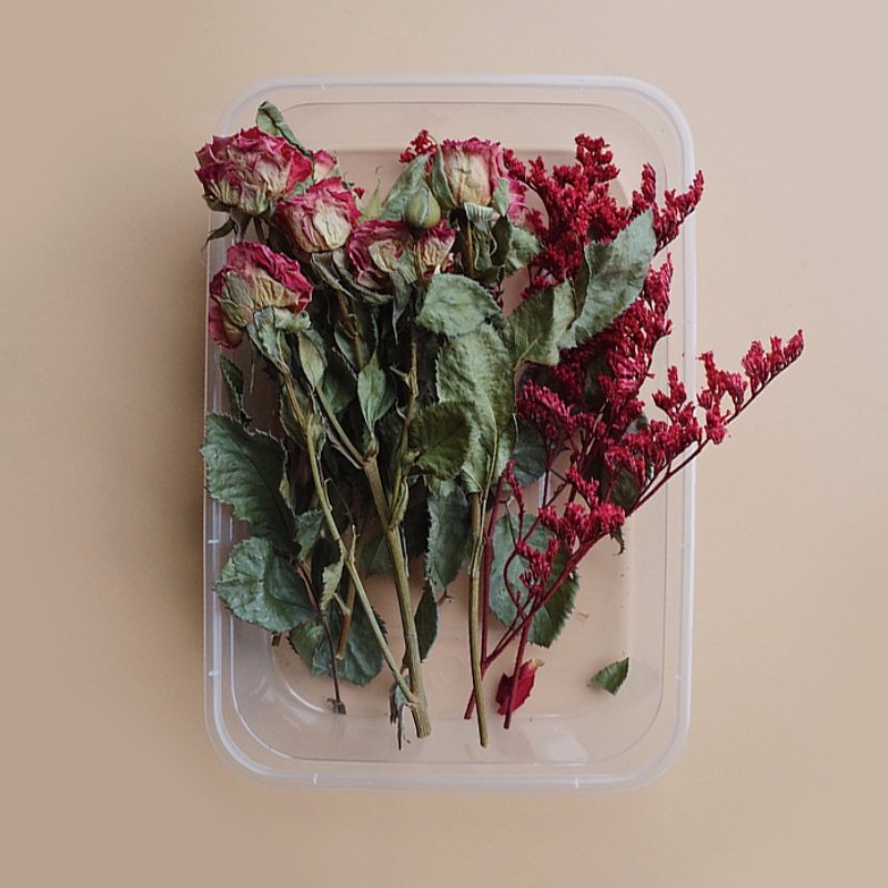 Preserved Flowers for Crafts 丨 Myitabag