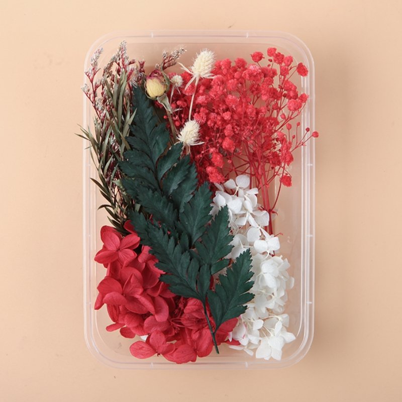 Preserved Flowers for Crafts 丨 Myitabag