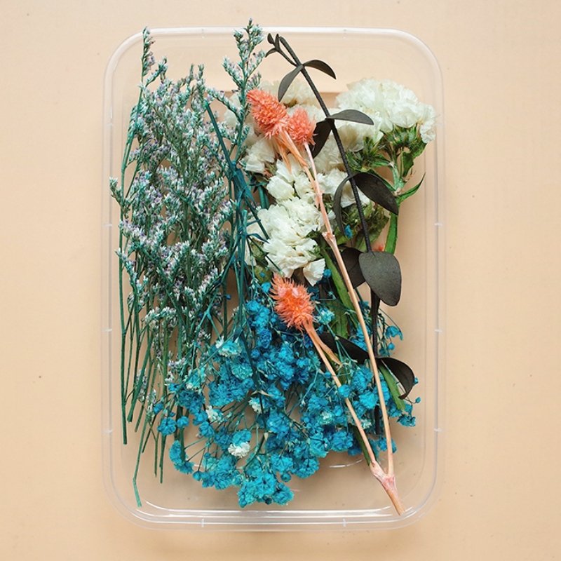 Preserved Flowers for Crafts 丨 Myitabag