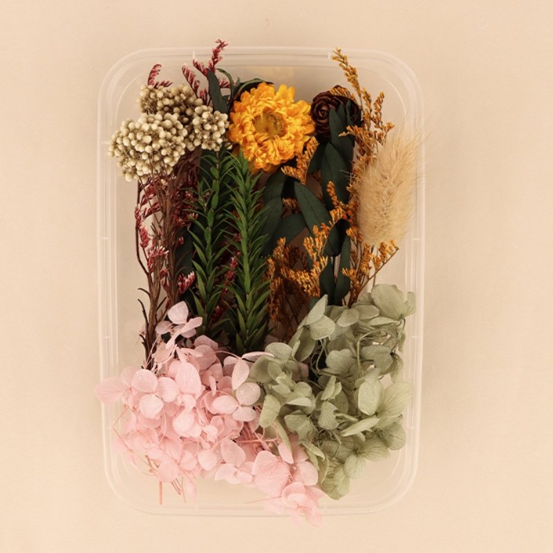 Preserved Flowers for Crafts 丨 Myitabag