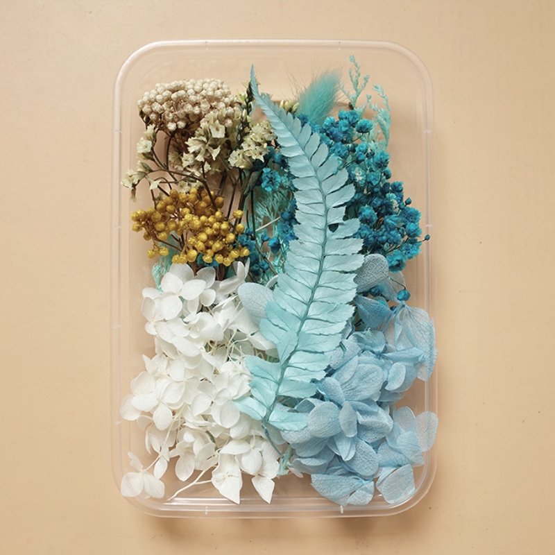 Preserved Flowers for Crafts 丨 Myitabag