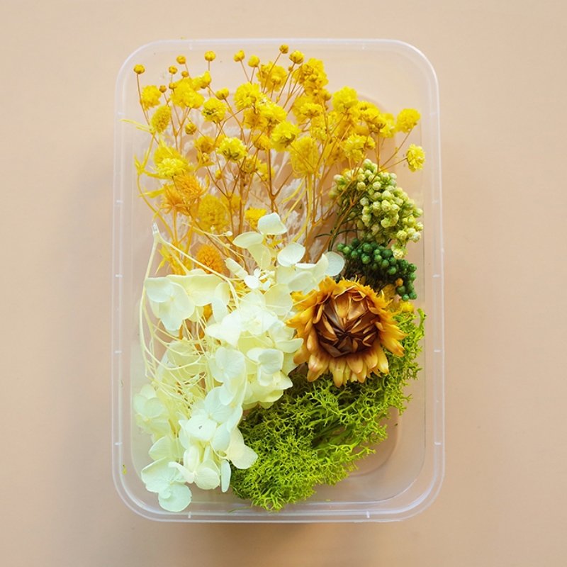 Preserved Flowers for Crafts 丨 Myitabag