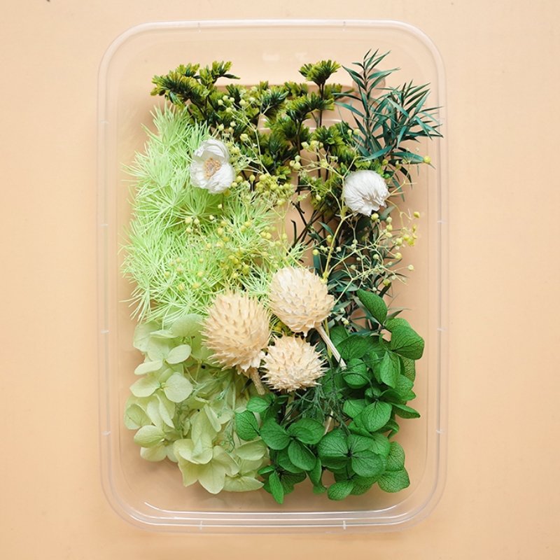 Preserved Flowers for Crafts 丨 Myitabag