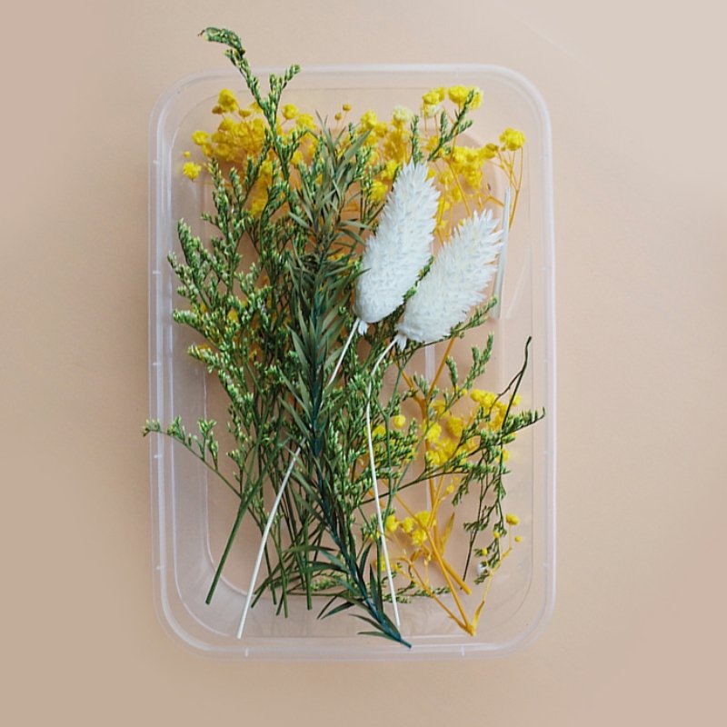Preserved Flowers for Crafts 丨 Myitabag