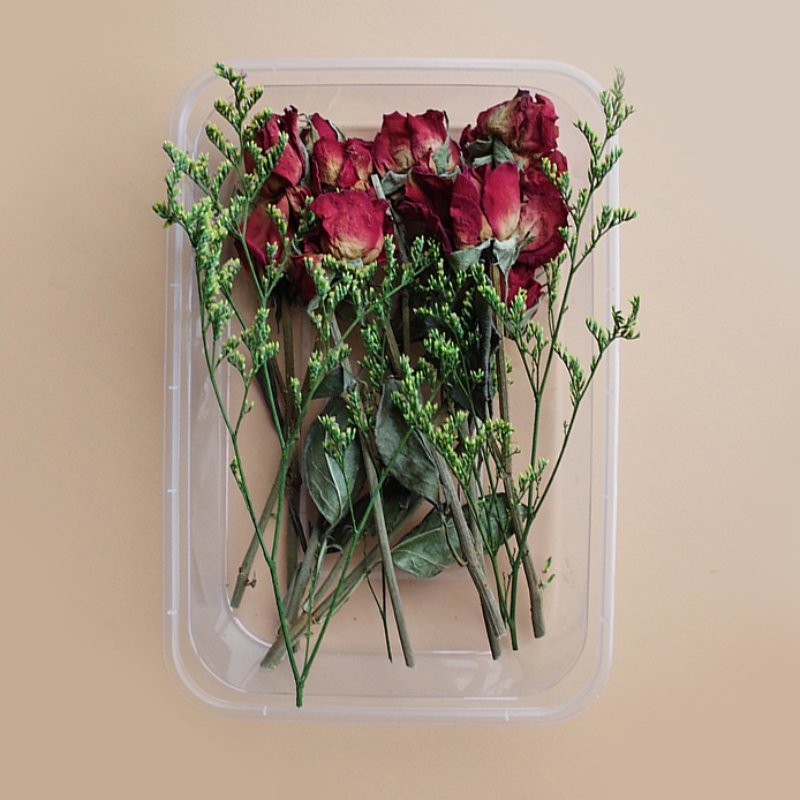 Preserved Flowers for Crafts 丨 Myitabag