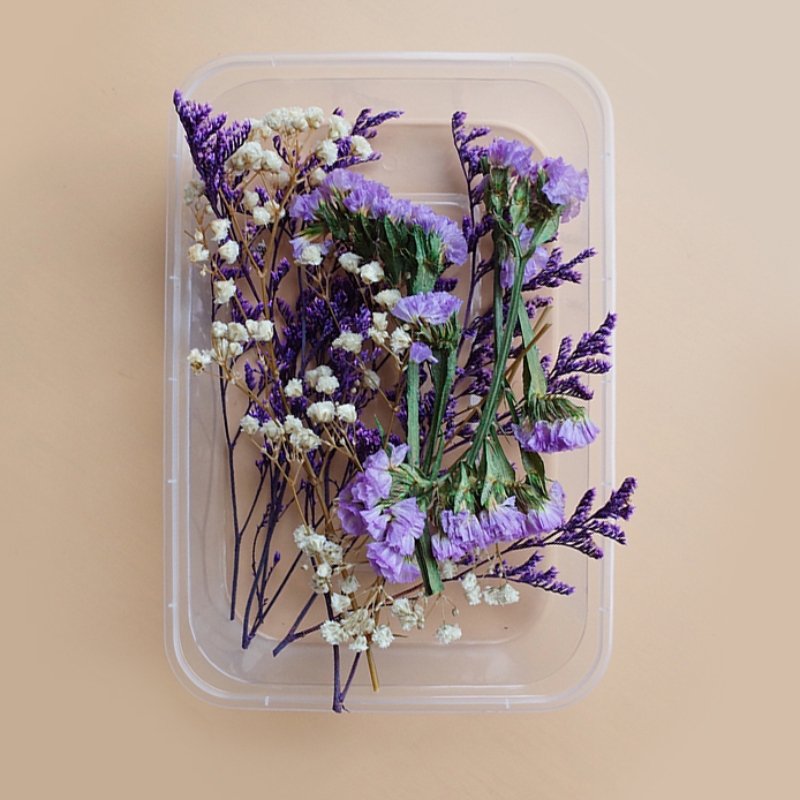 Preserved Flowers for Crafts 丨 Myitabag
