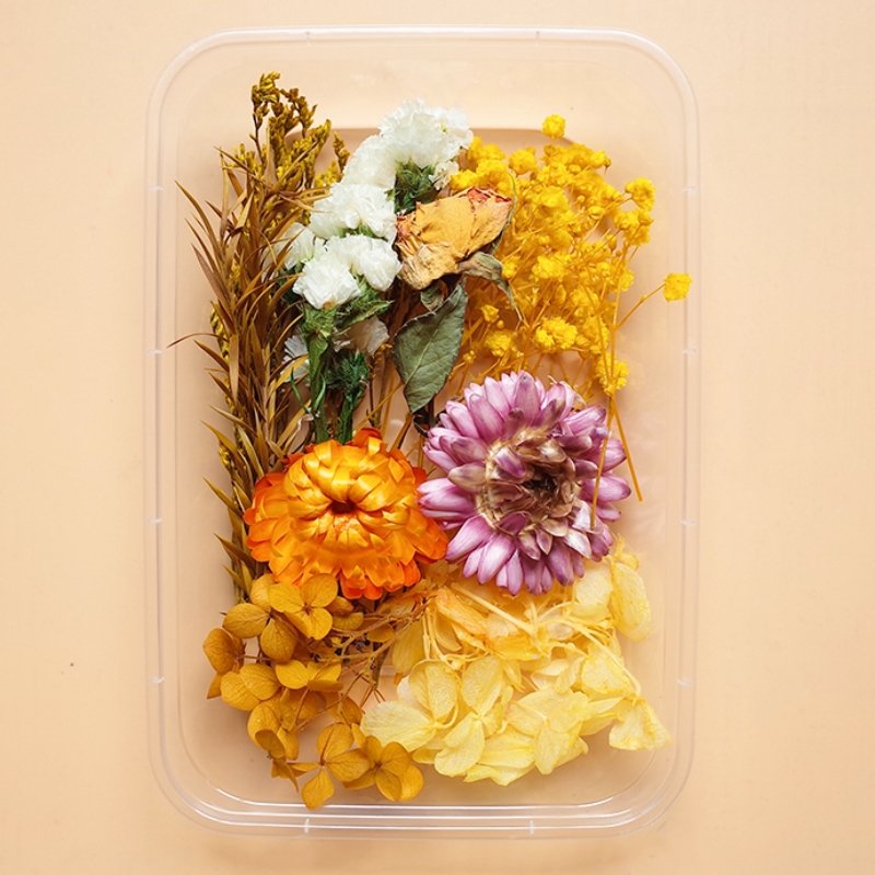 Preserved Flowers for Crafts 丨 Myitabag