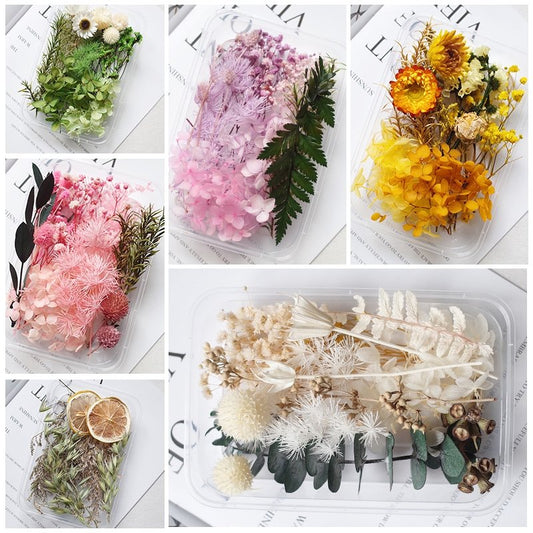 Preserved Flowers for Crafts 丨 Myitabag