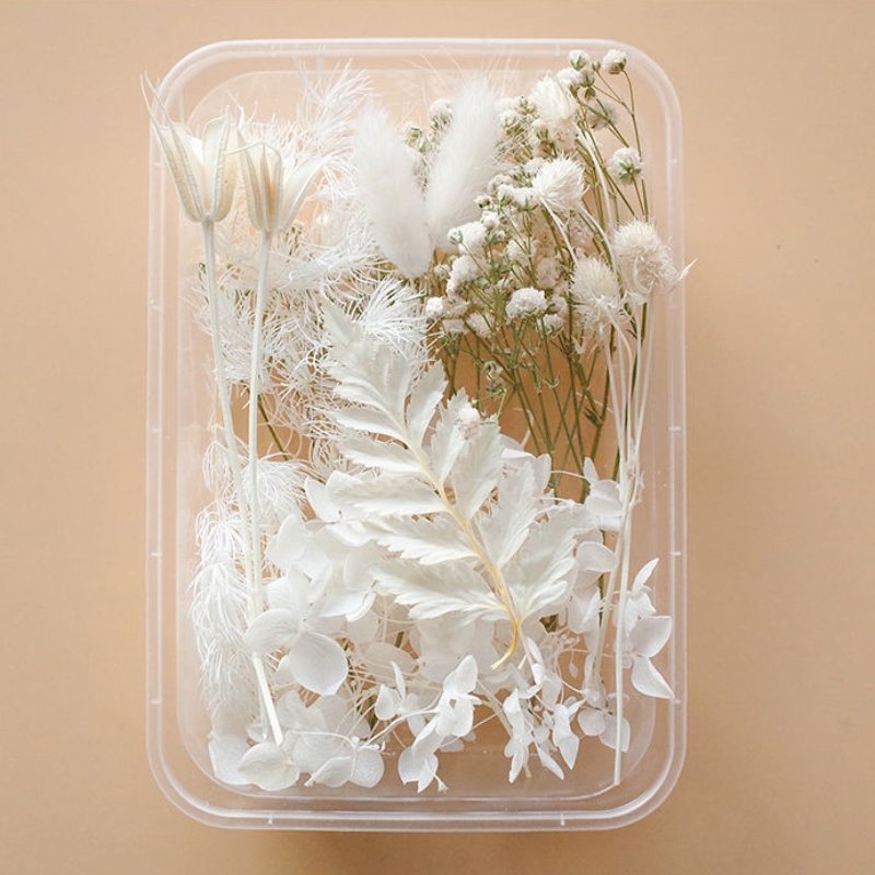 Preserved Flowers for Crafts 丨 Myitabag