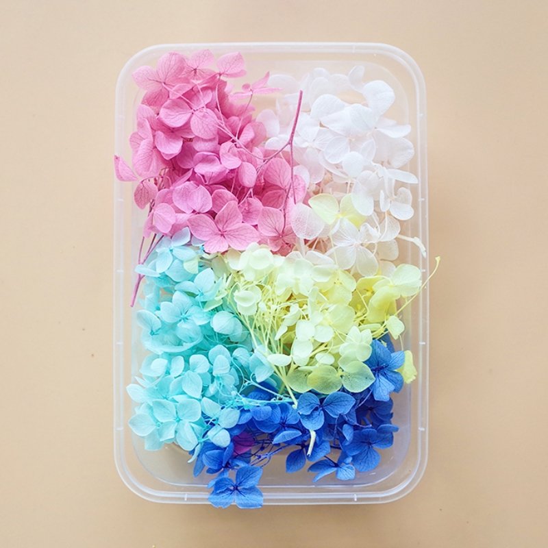 Preserved Flowers for Crafts 丨 Myitabag