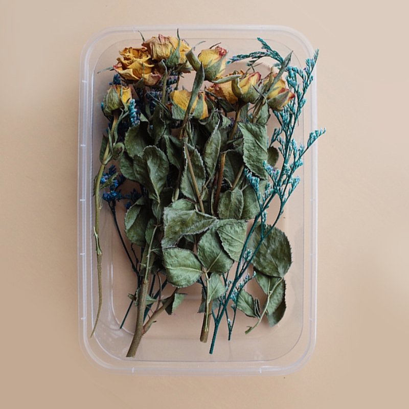 Preserved Flowers for Crafts 丨 Myitabag